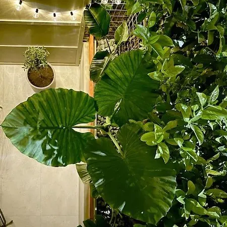 Athenian Coastal Urban Living Apartment