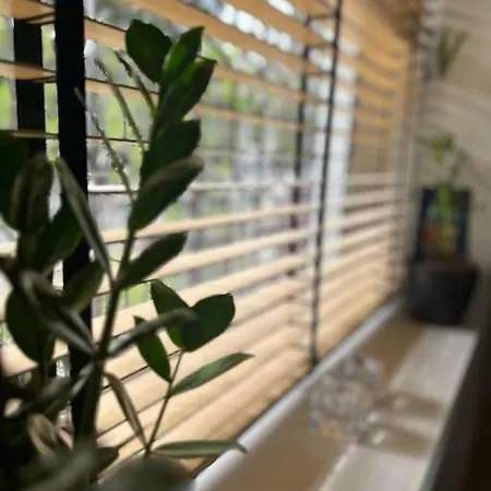 Athenian Coastal Urban Living Apartment Athens