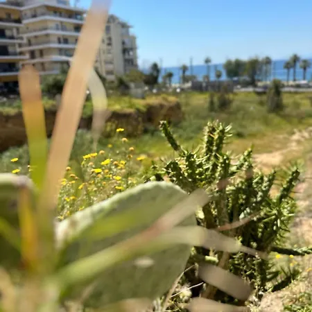 Apartment Athenian Coastal Urban Living